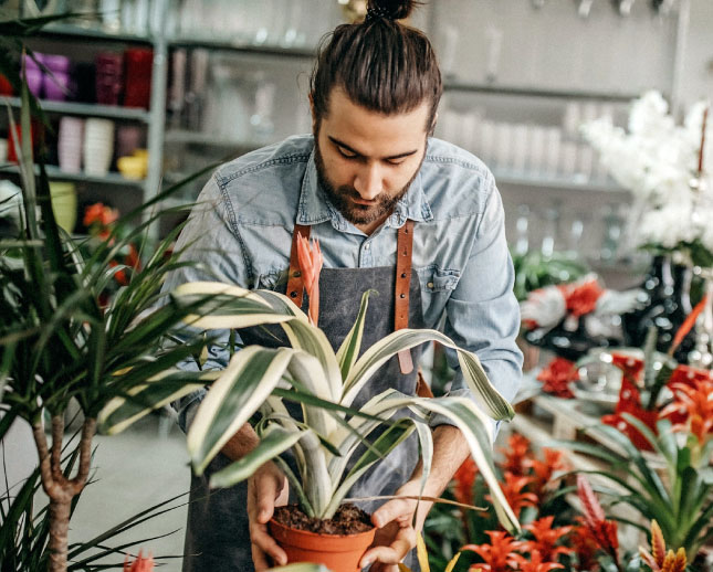 Man in apron moving potted plants.